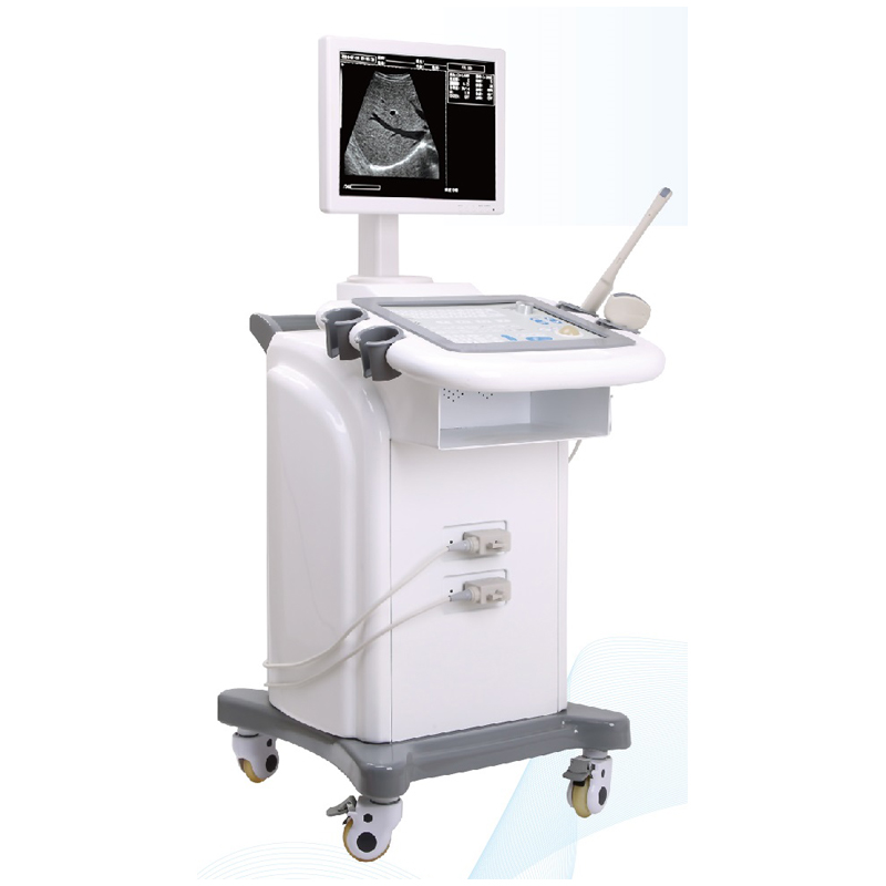 Trolley Ultrasound Scanner