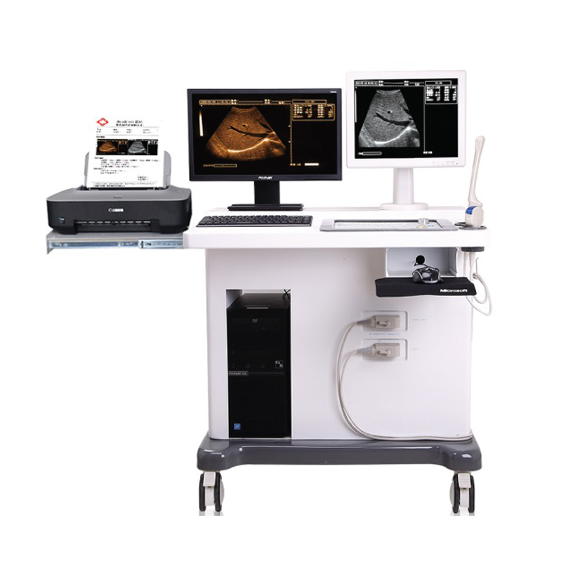 Trolley Ultrasound Scanner With Workstation